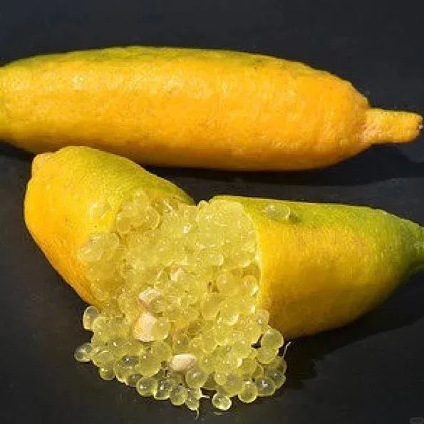 50% off 🍋Lemon Caviar! 🪴Finger Lemon Seeds