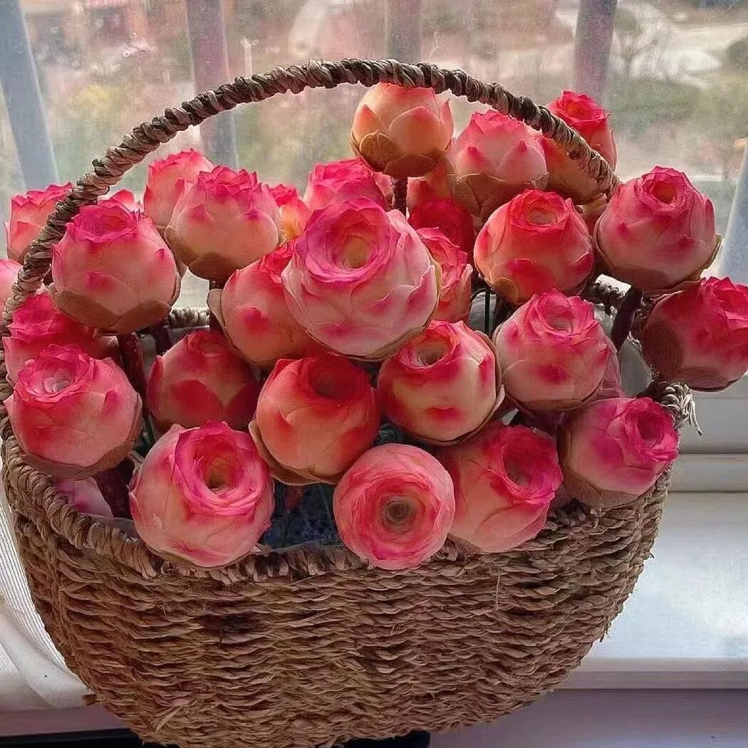 Bergrosensamen – Seltene Sukkulenten – Erhältlich in drei Farben