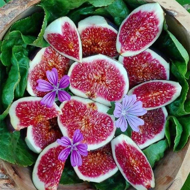 🍑Super Giant Feigenbaumsamen – Die Süße eines Pfirsichs in jedem Bissen! 🌟