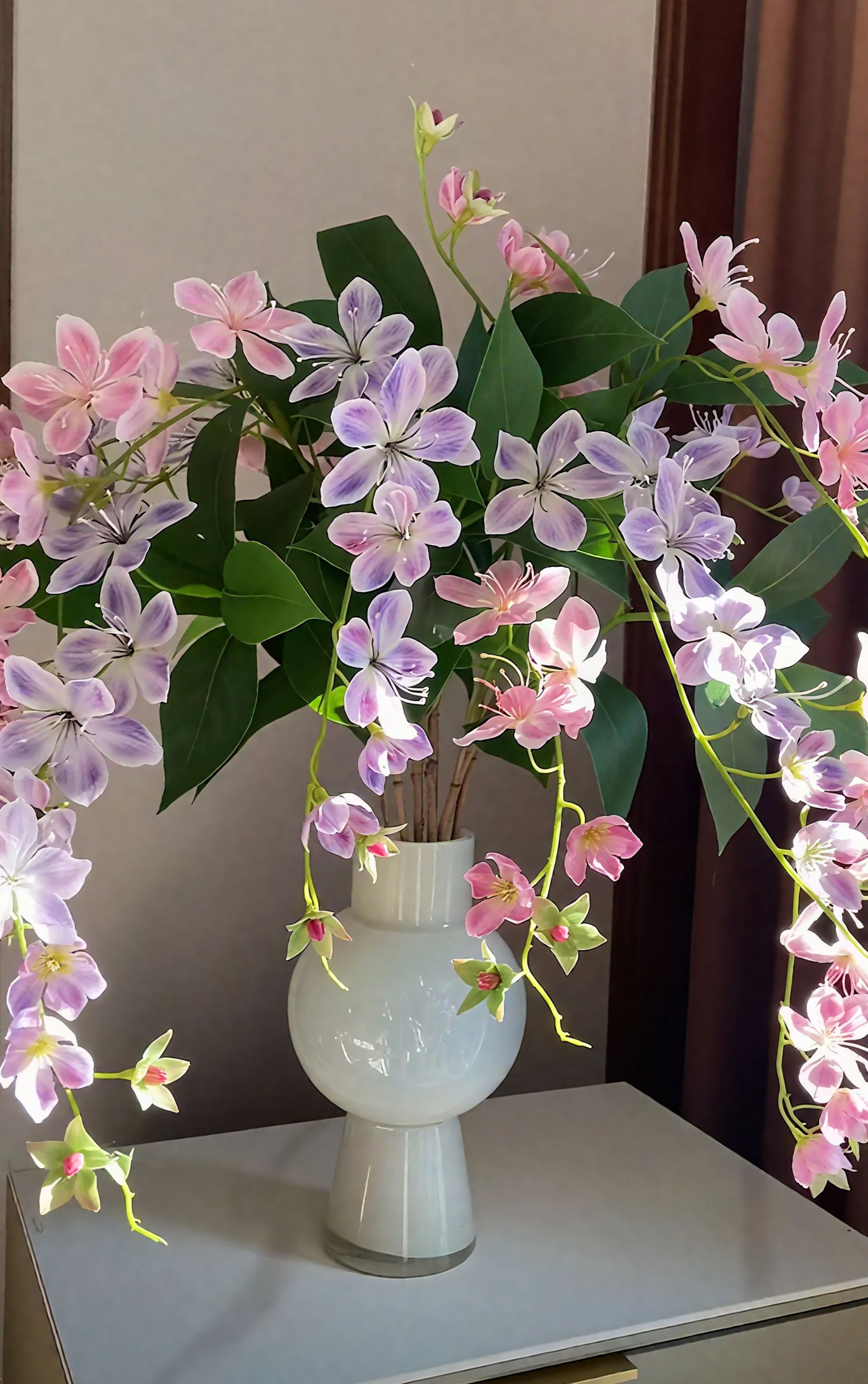 🌸 Beautiful, Fragrant & Easy-to-Grow Weeping Jasmine