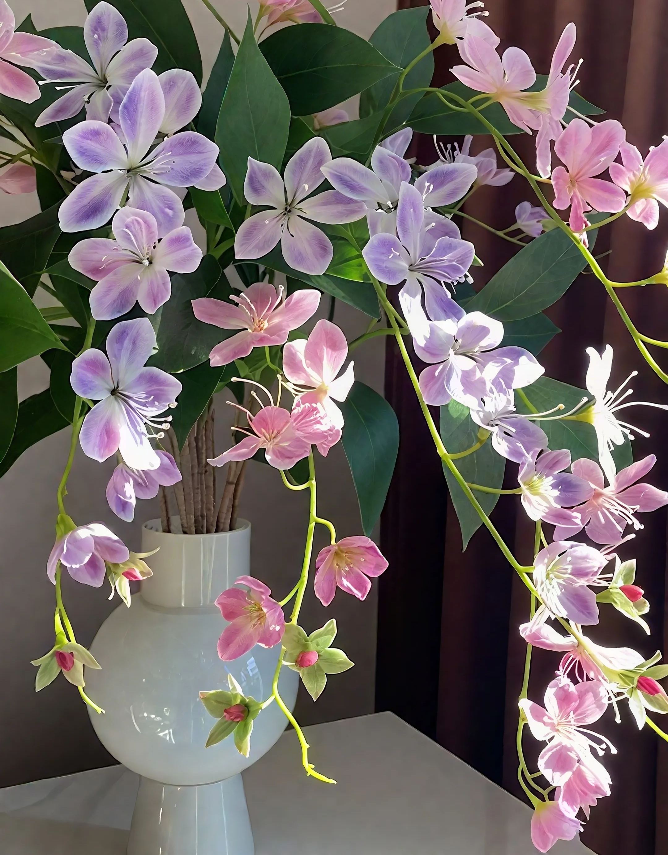 🌸 Beautiful, Fragrant & Easy-to-Grow Weeping Jasmine