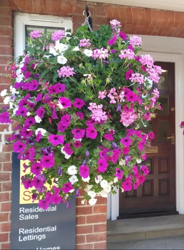 Last Day 49% OFF--💎UV Simulation Artificial Flower