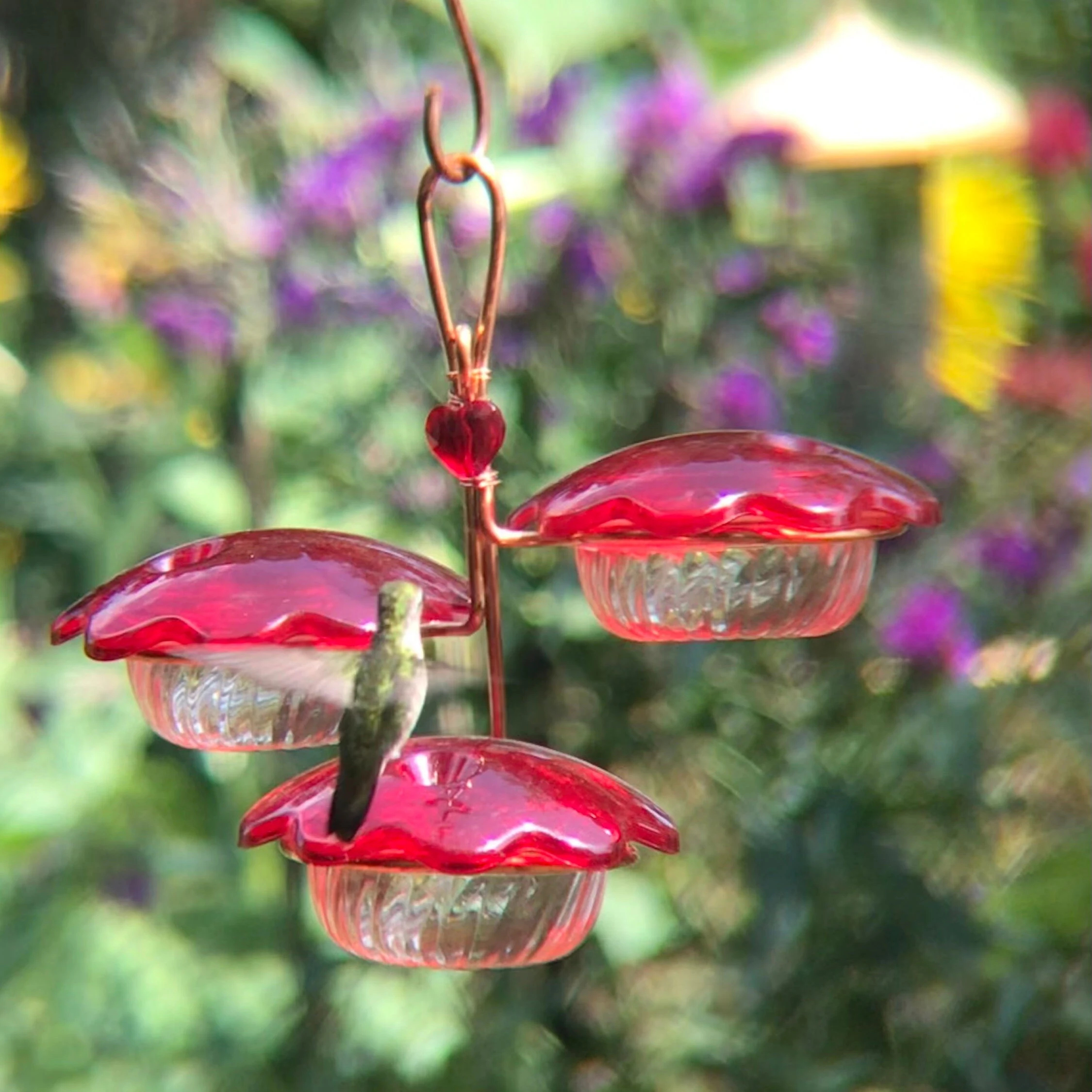 Hummingbird Petal Feeder