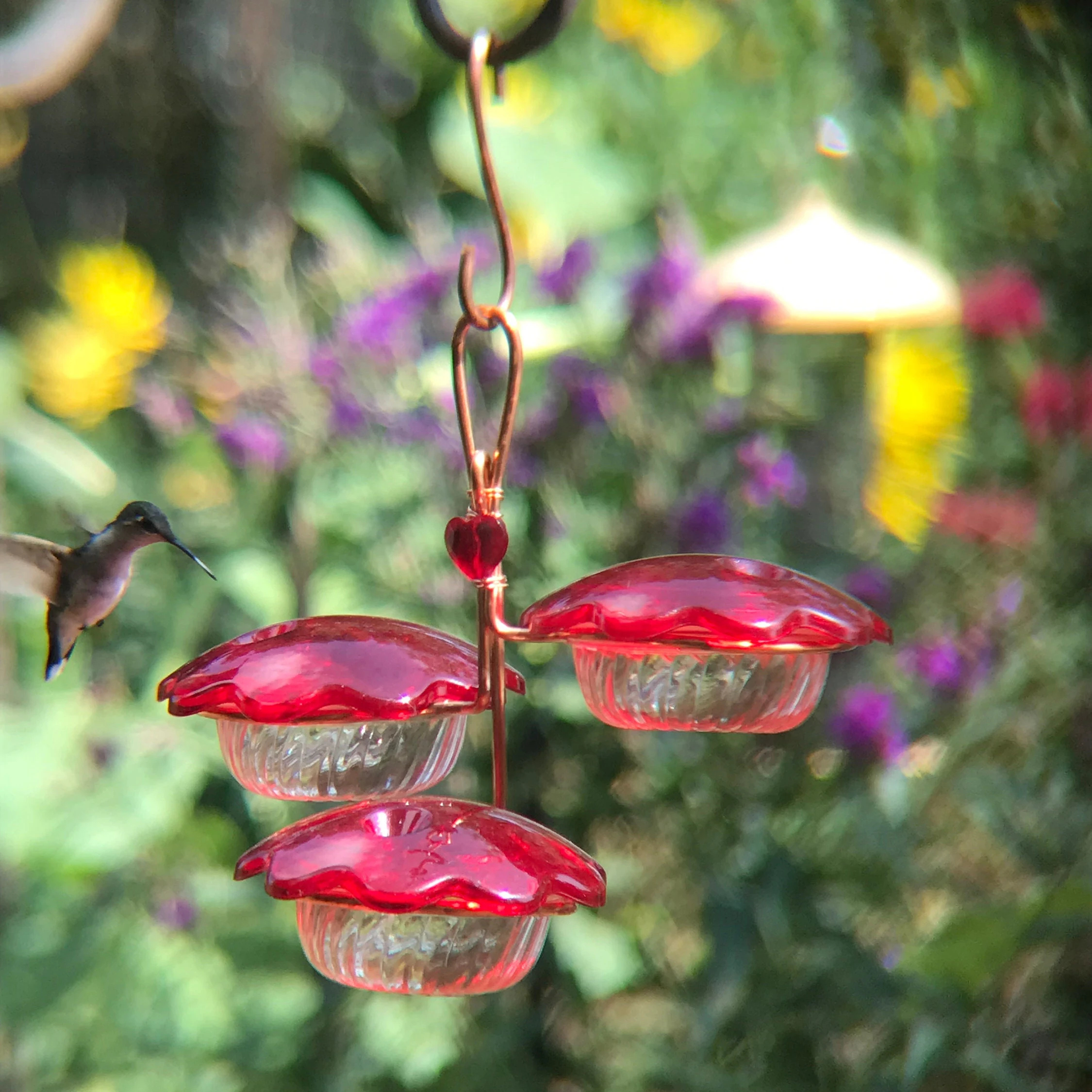 Hummingbird Petal Feeder