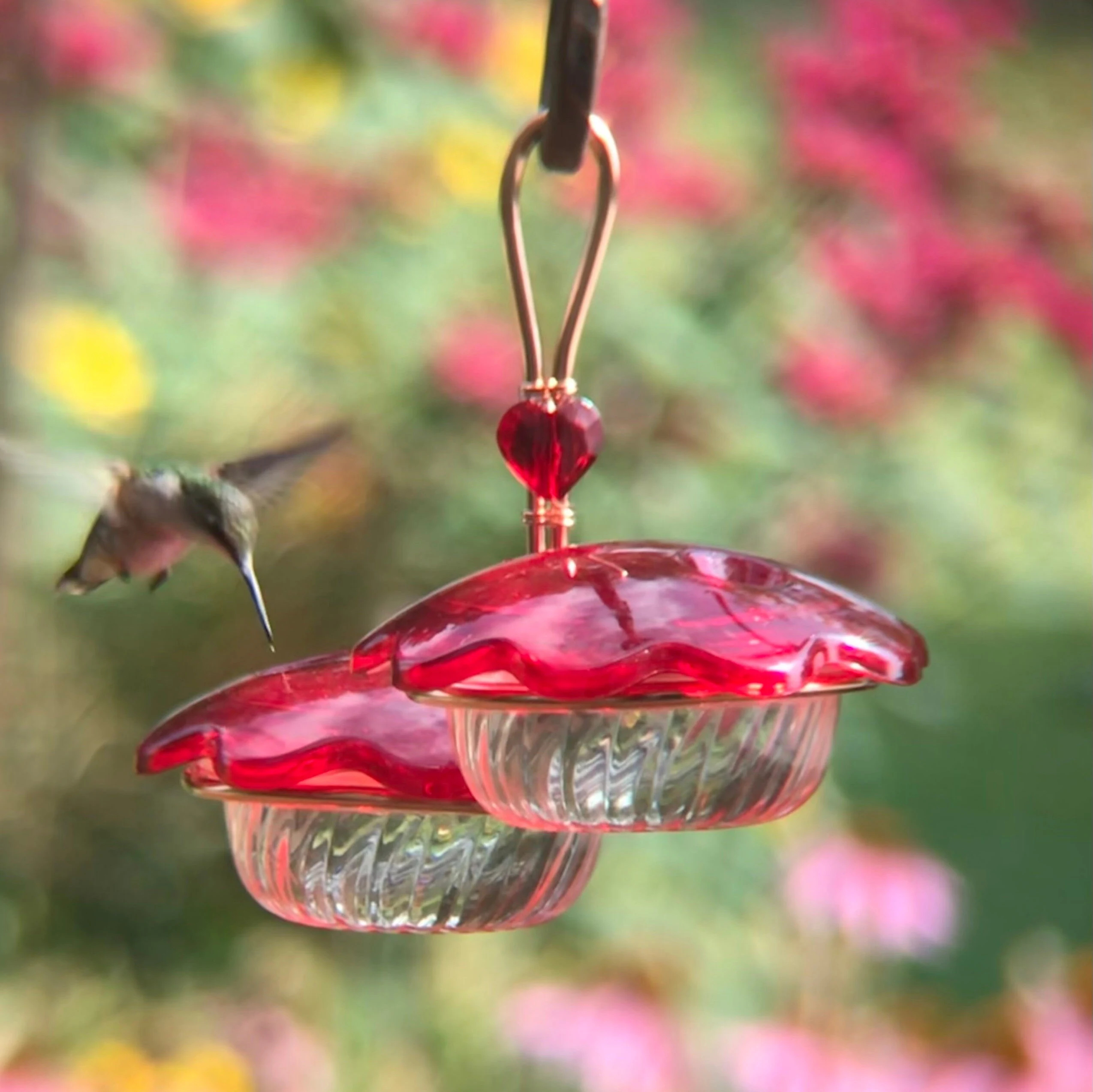 Hummingbird Petal Feeder