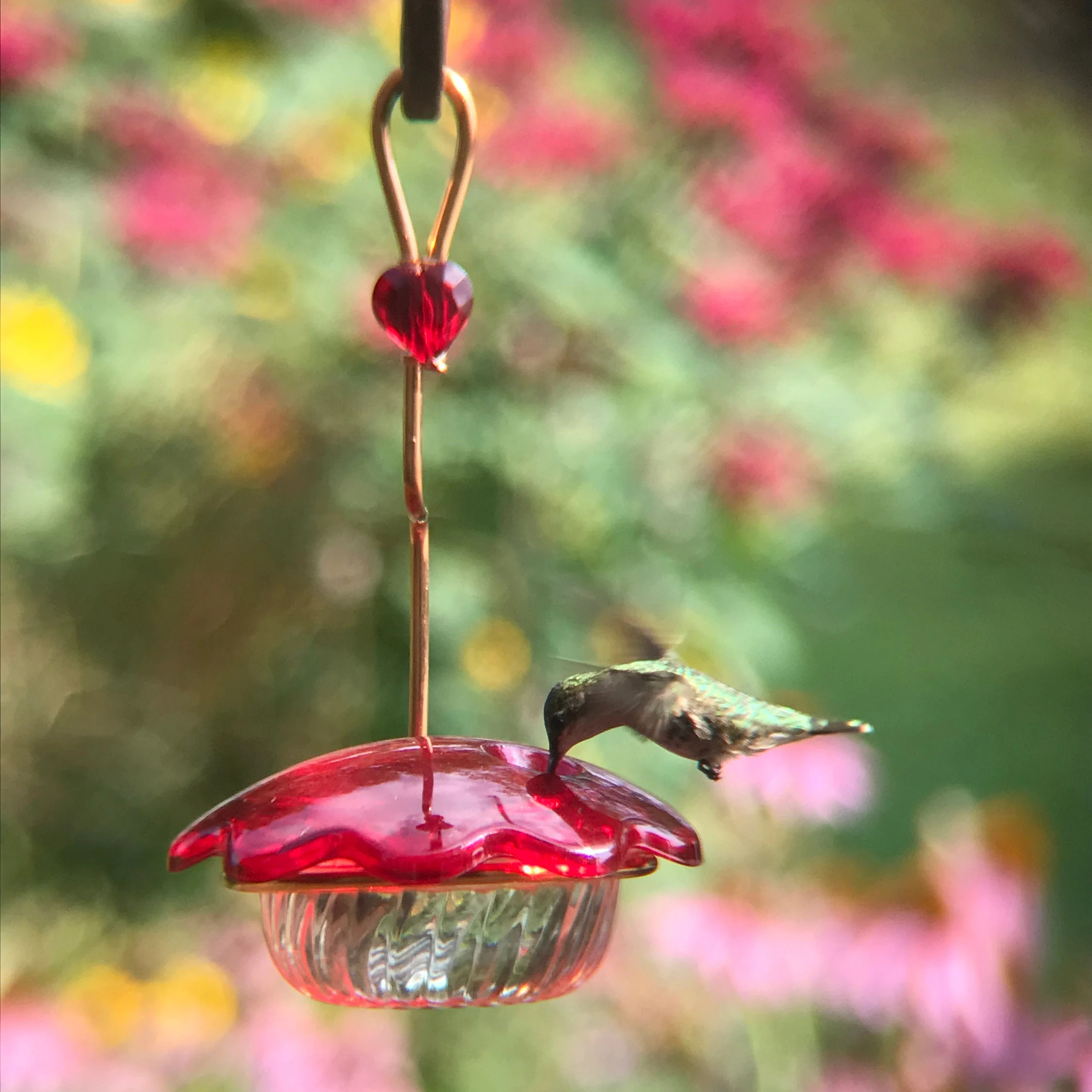 Hummingbird feeder