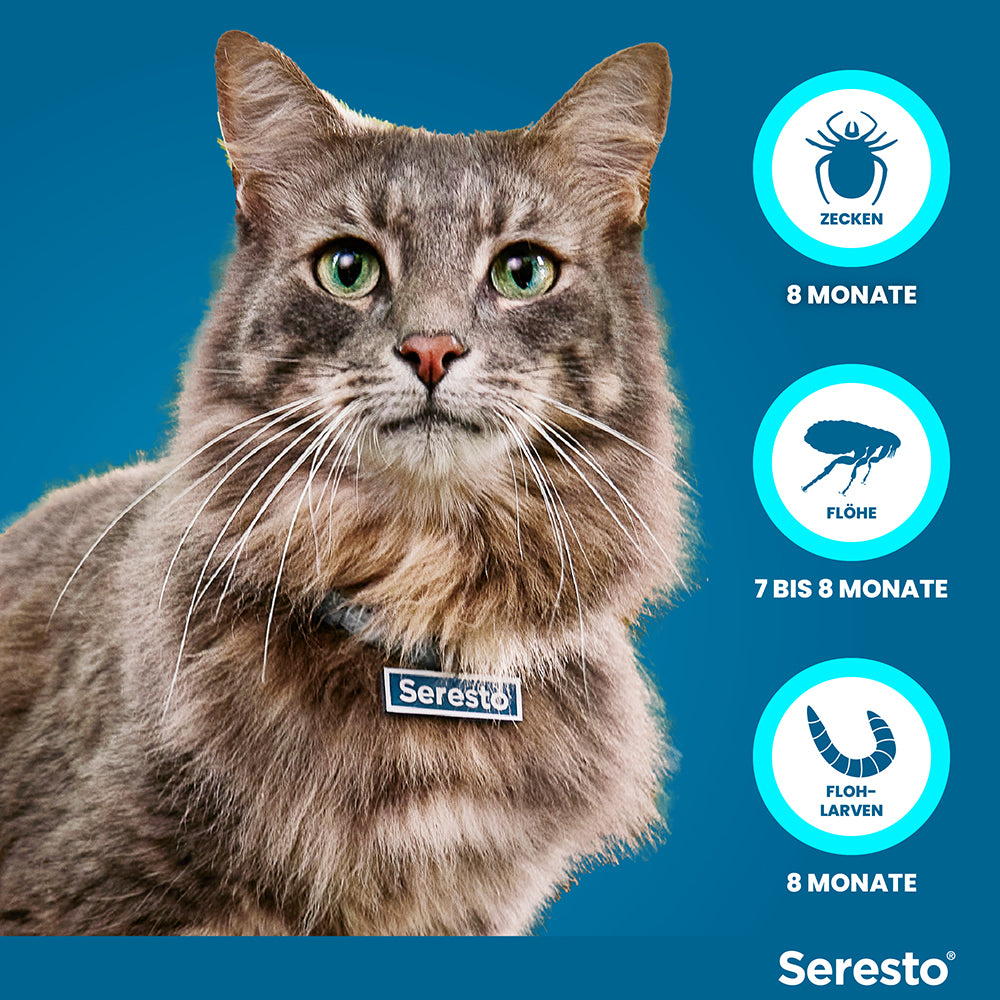 Seresto Halsband für Katzen