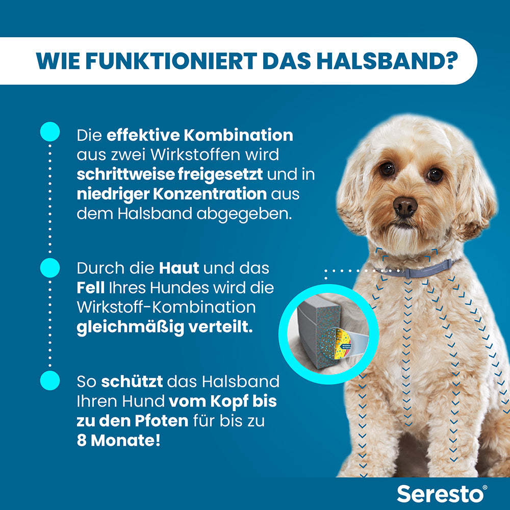 Seresto Halsband für kleine Hunde | bis 8 kg