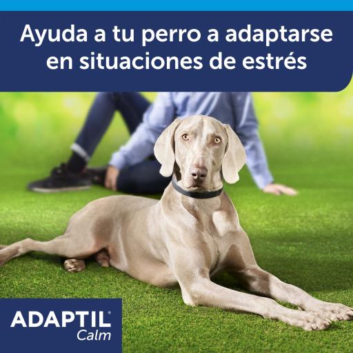 Adaptil Calm On-the-go Collar para Perros Antiestrés