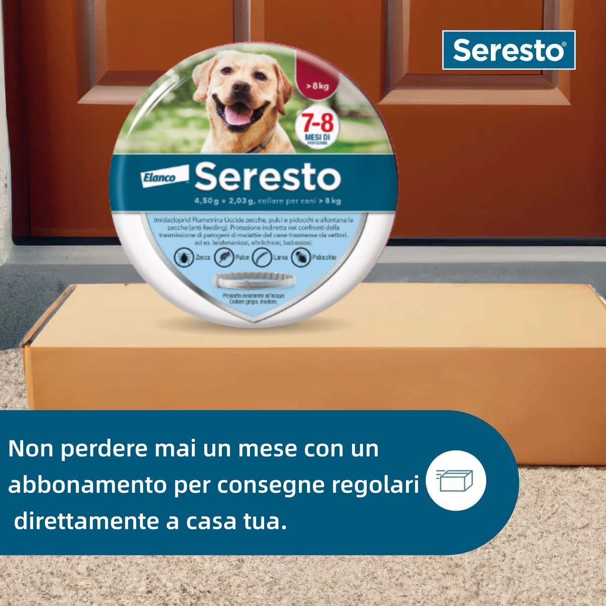 Bayer Elanco Collare Antiparassitario per Cani | 8 Mesi di Protezione