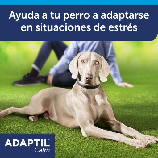 Adaptil Calm On-the-go Collar para Perros Antiestrés