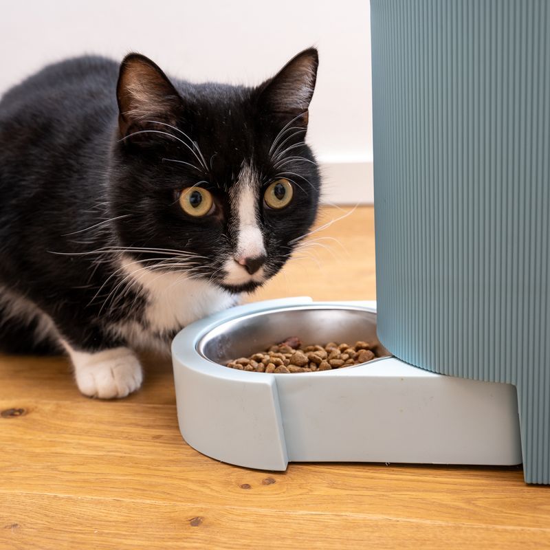 dozownik karmy i wody, błękitny