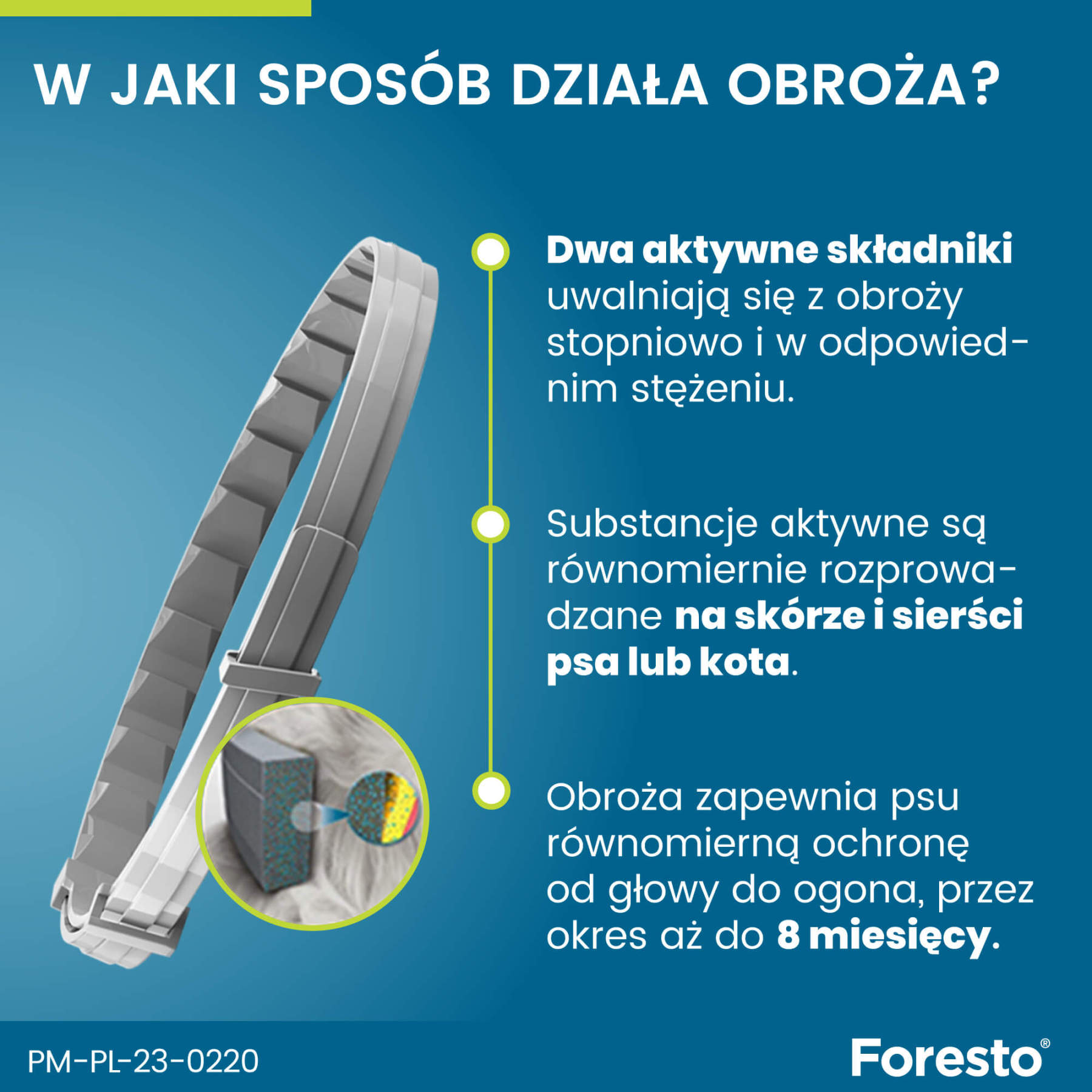 Obroża FORESTO dla kota i psa przeciw kleszczom i pchłom poniżej 8 kg