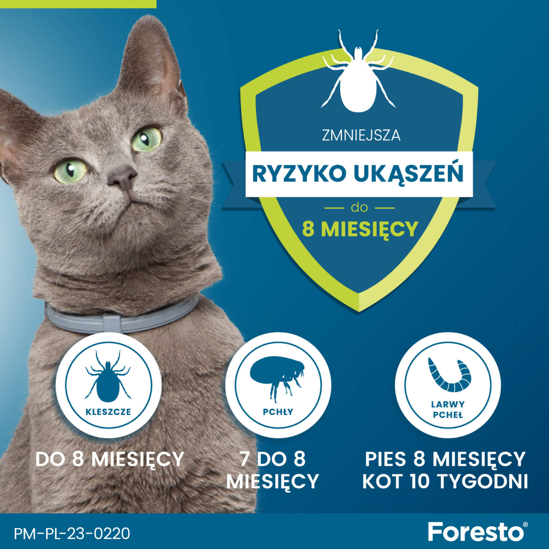 Obroża FORESTO dla kota i psa przeciw kleszczom i pchłom poniżej 8 kg