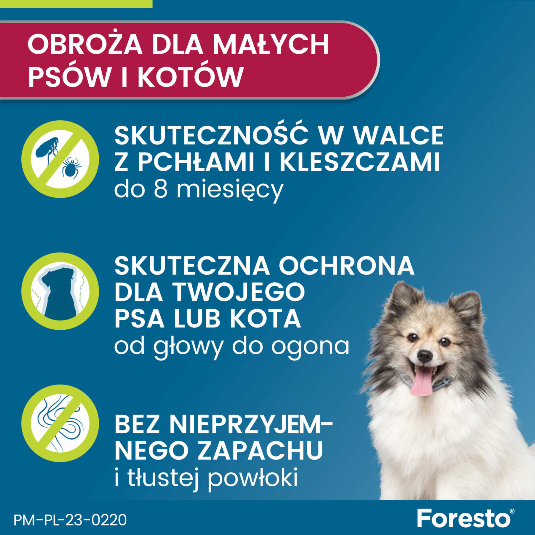 Obroża FORESTO dla kota i psa przeciw kleszczom i pchłom poniżej 8 kg