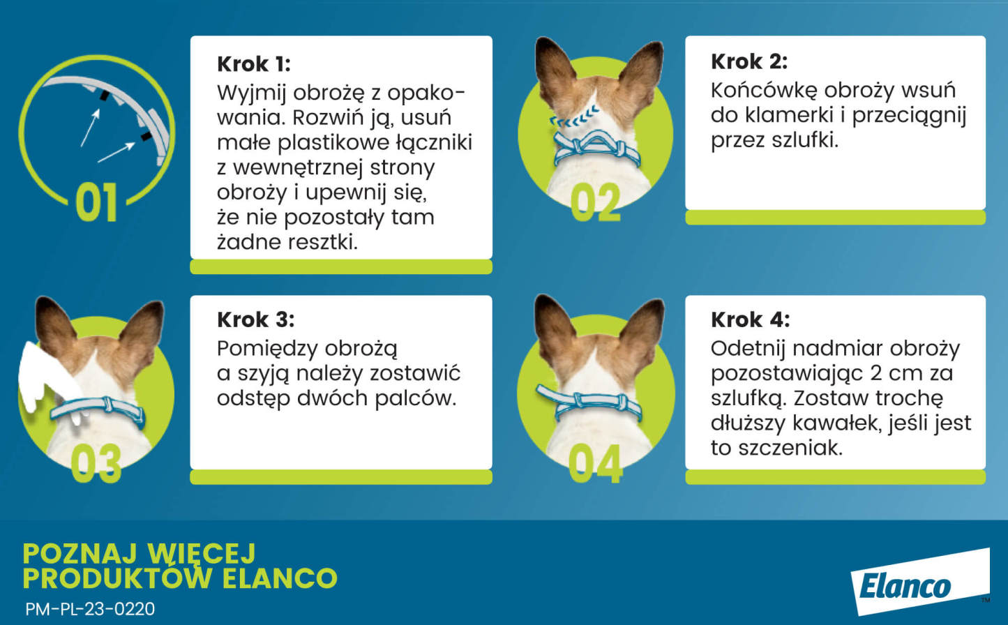 Obroża FORESTO dla kota i psa przeciw kleszczom i pchłom poniżej 8 kg