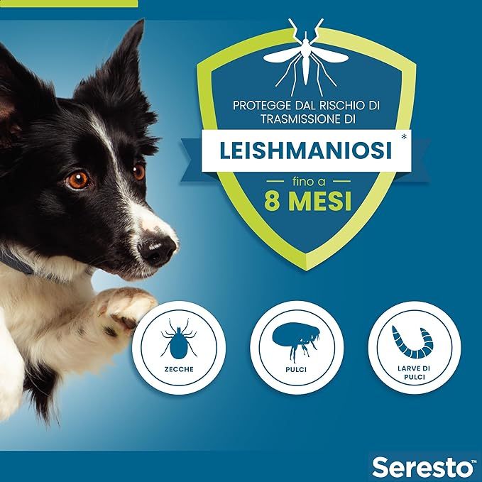 SerestoCollare  Antiparassitario per Cani | 8 Mesi di Protezione