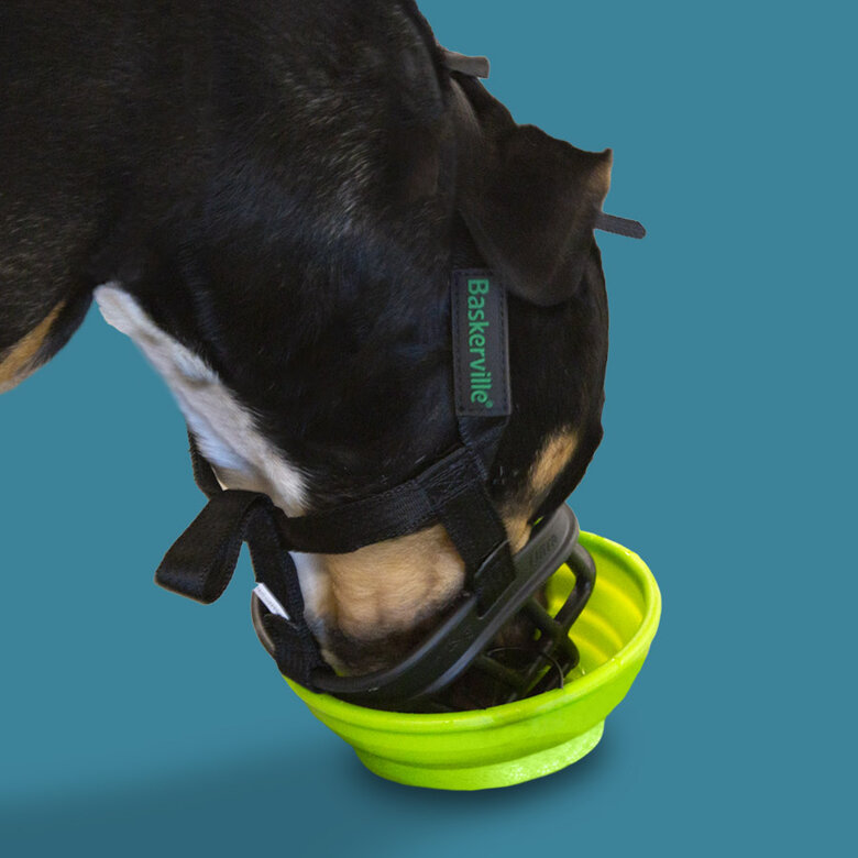 Baskerville Ultra Muzzle Bozal tipo canasta para perros