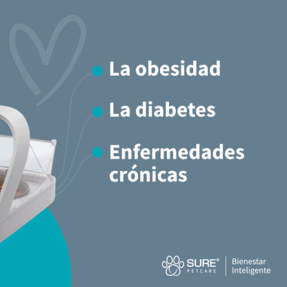 Sure Petcare Surefeed Comedero Automático con Microchip