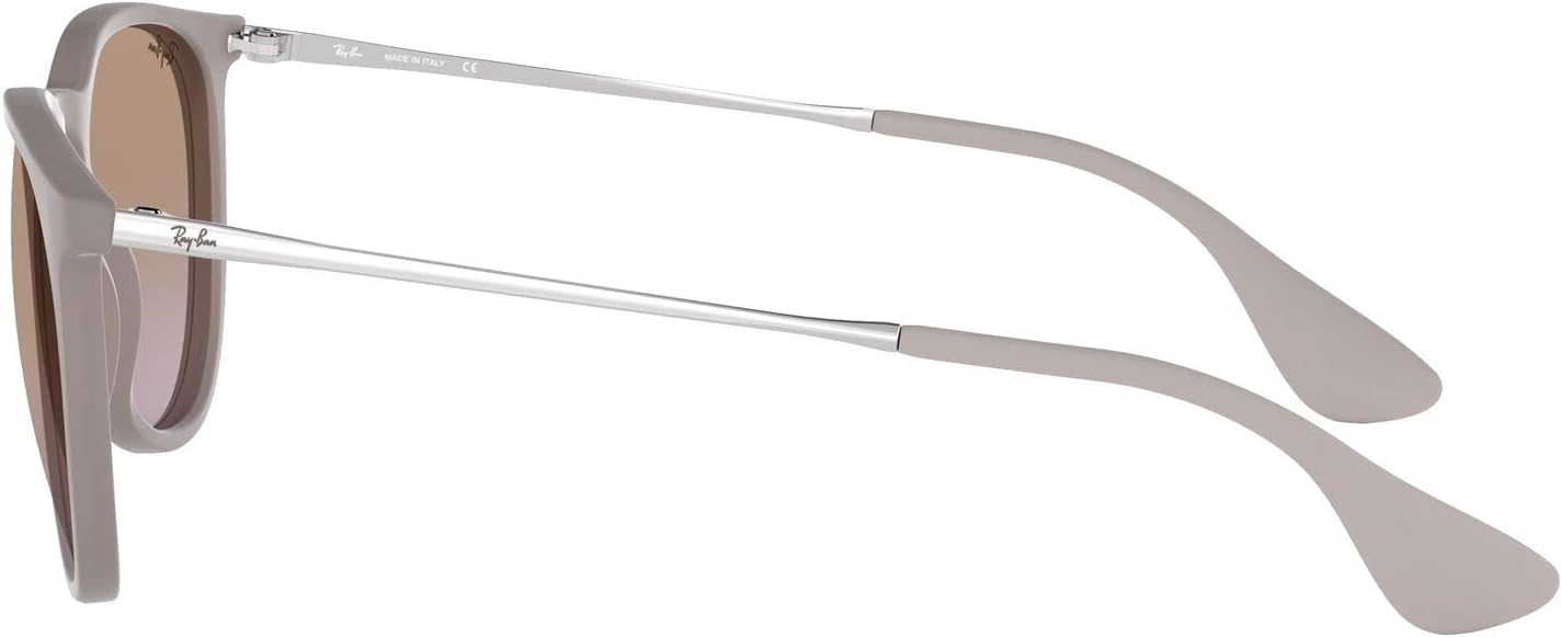 Rthtay-Bthtan RB4171 Erika Round Sunglasses