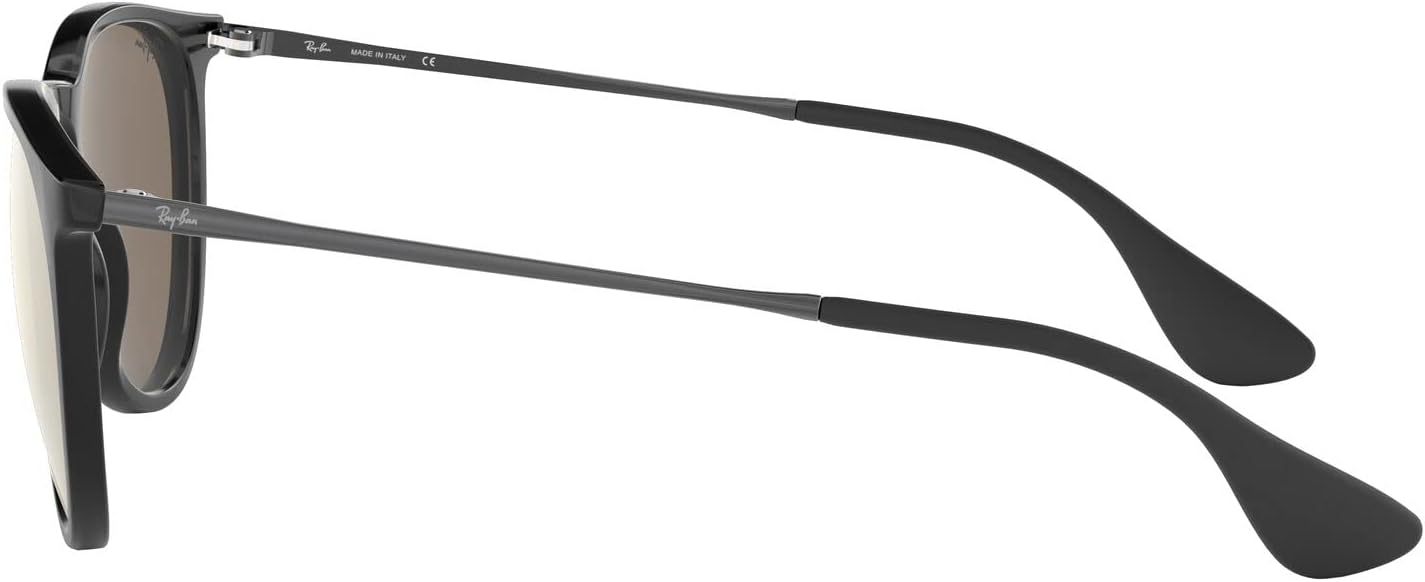 Rthtay-Bthtan RB4171 Erika Round Sunglasses