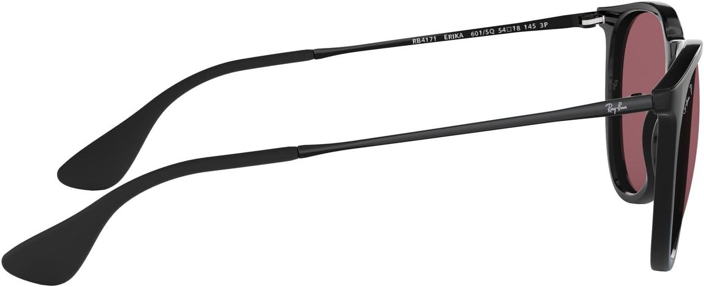 Rthtay-Bthtan RB4171 Erika Round Sunglasses