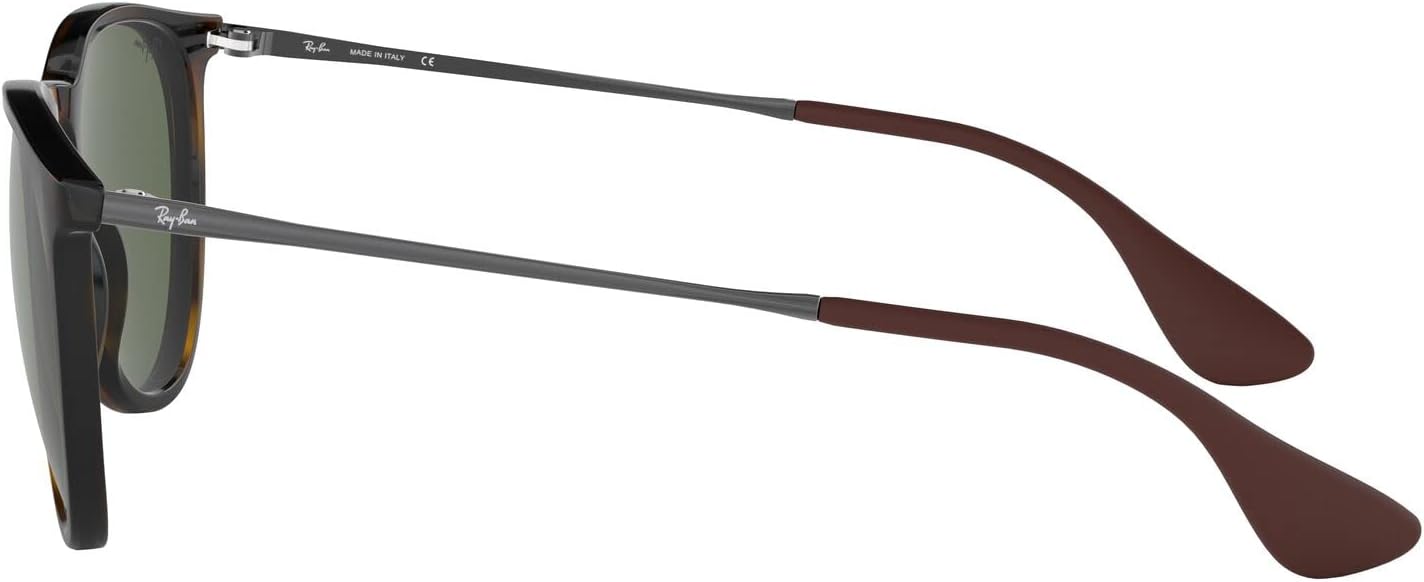 Rthtay-Bthtan RB4171 Erika Round Sunglasses