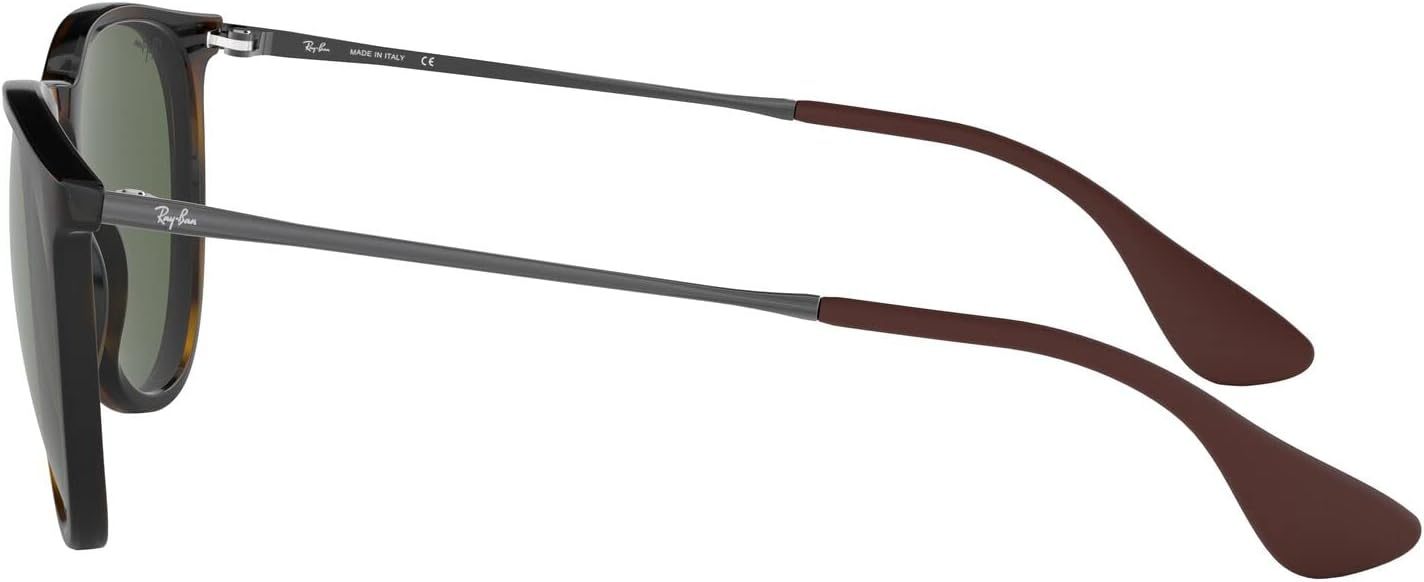 Rthtay-Bthtan RB4171 Erika Round Sunglasses