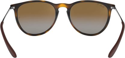 Rthtay-Bthtan RB4171 Erika Round Sunglasses