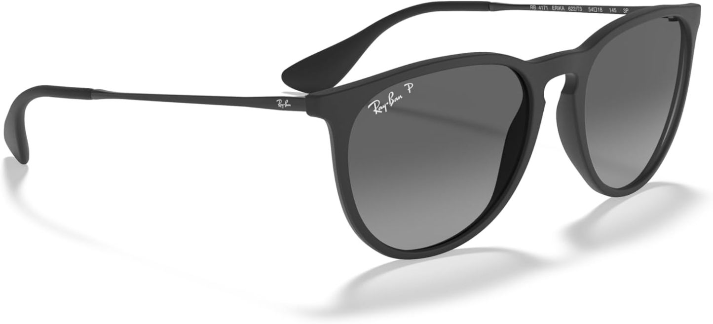 Rthtay-Bthtan RB4171 Erika Round Sunglasses