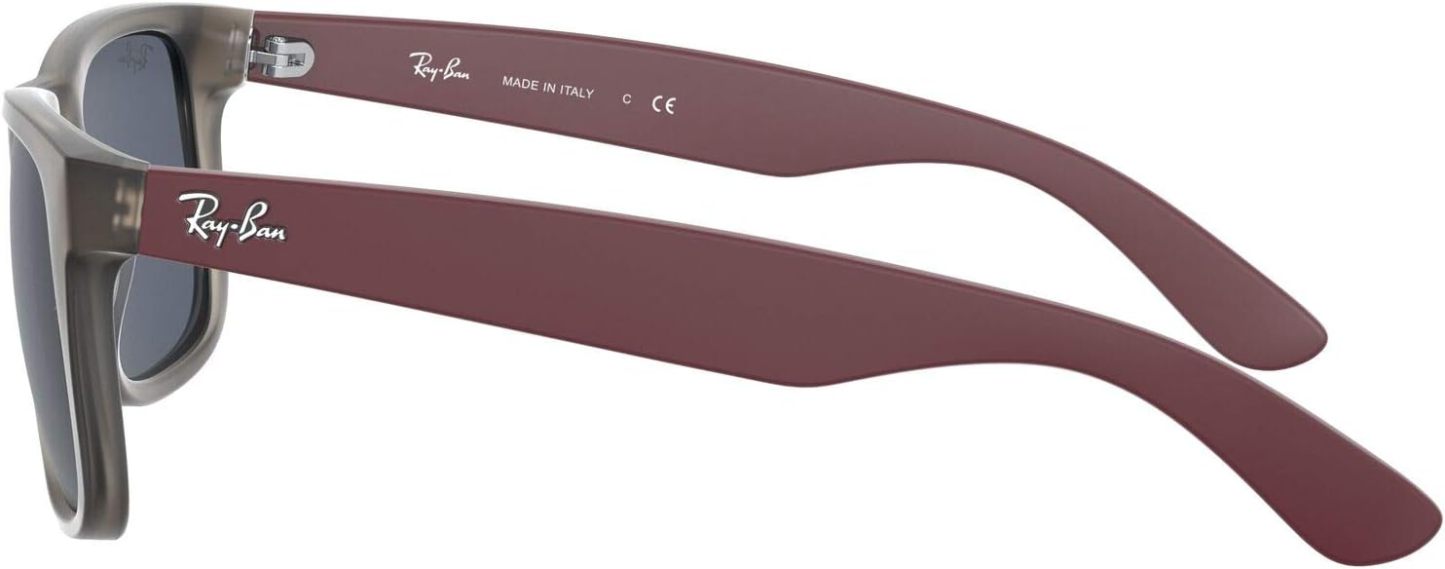 Rthtay-Bthtan RB4165 Justin Rectangular Sunglasses