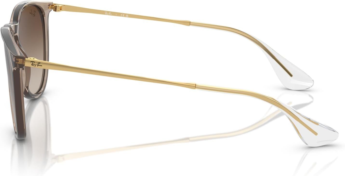 Rthtay-Bthtan RB4171 Erika Round Sunglasses