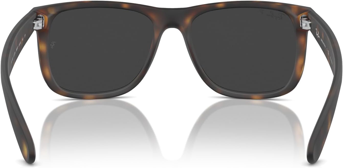 Rthtay-Bthtan RB4165 Justin Rectangular Sunglasses