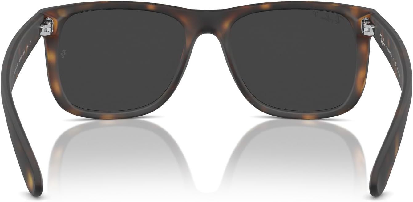 Rthtay-Bthtan RB4165 Justin Rectangular Sunglasses