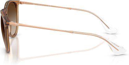 Rthtay-Bthtan RB4171 Erika Round Sunglasses