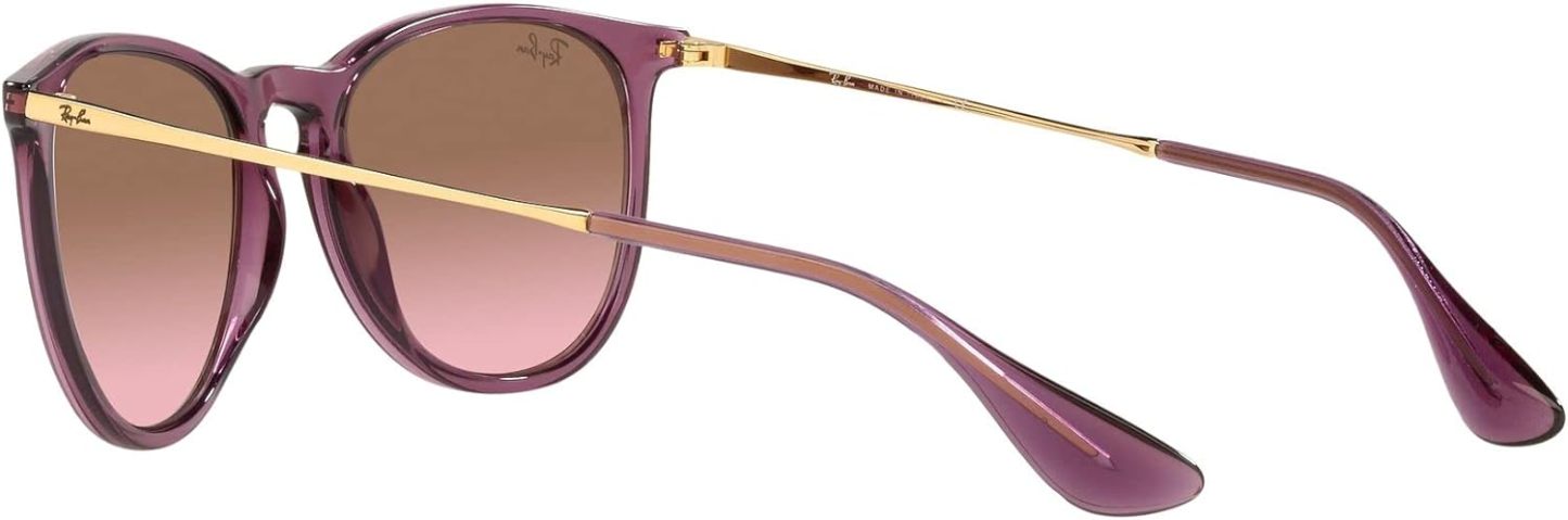 Rthtay-Bthtan RB4171 Erika Round Sunglasses