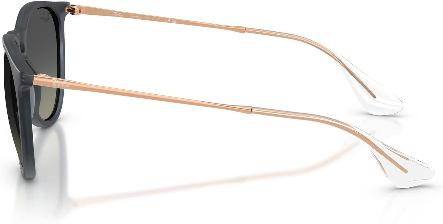 Rthtay-Bthtan RB4171 Erika Round Sunglasses