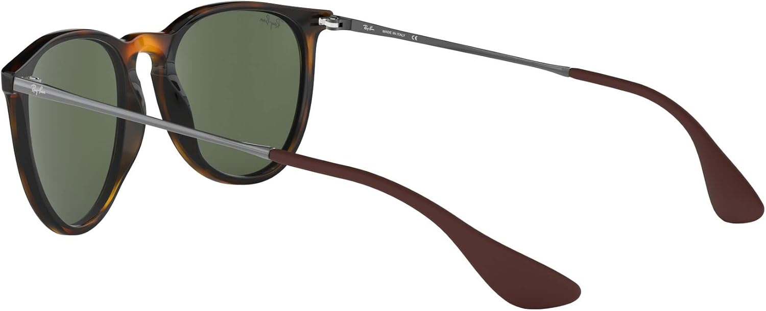 Rthtay-Bthtan RB4171 Erika Round Sunglasses