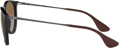 Rthtay-Bthtan RB4171 Erika Round Sunglasses