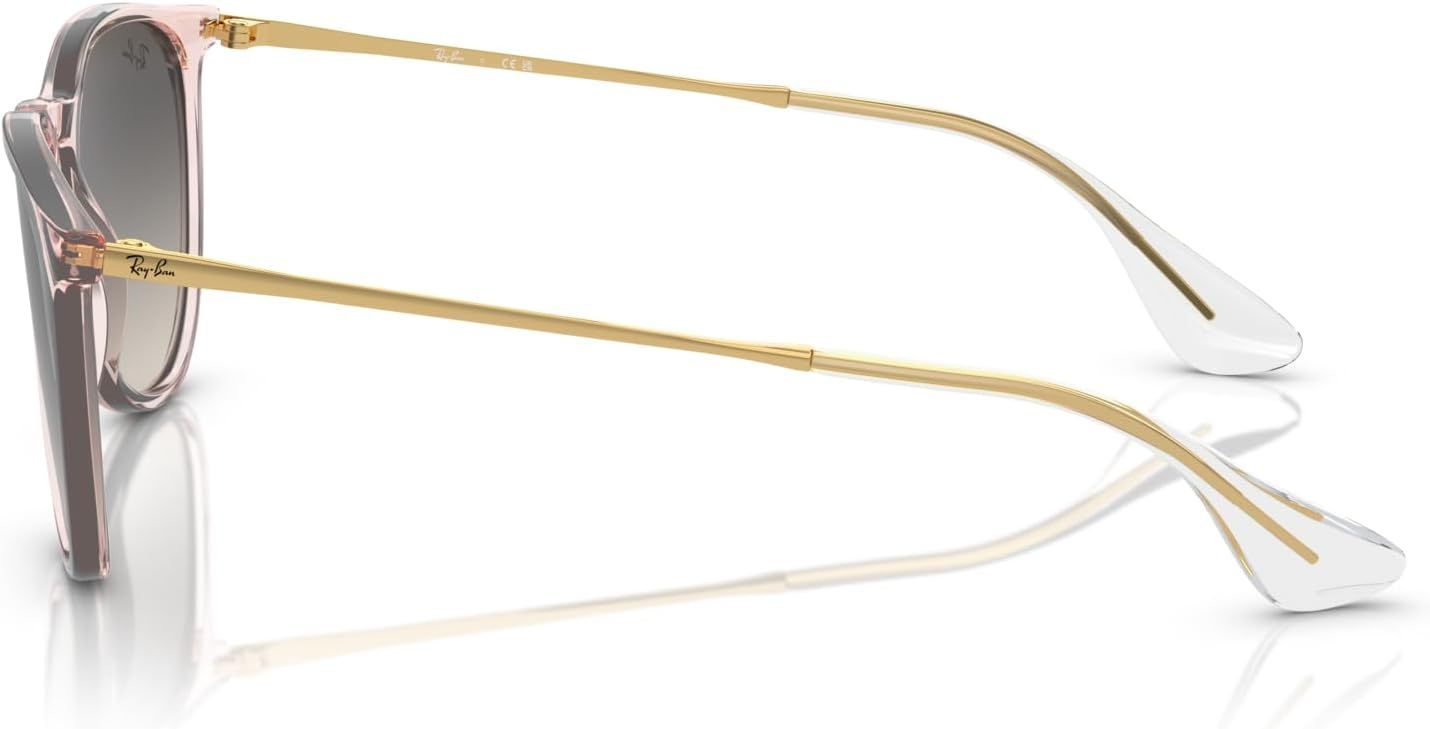 Rthtay-Bthtan RB4171 Erika Round Sunglasses