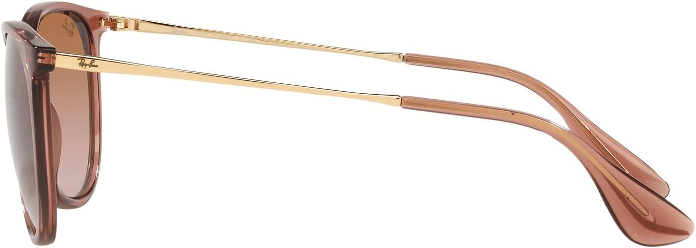 Rthtay-Bthtan RB4171 Erika Round Sunglasses