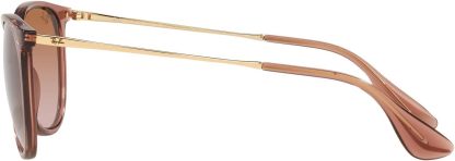 Rthtay-Bthtan RB4171 Erika Round Sunglasses