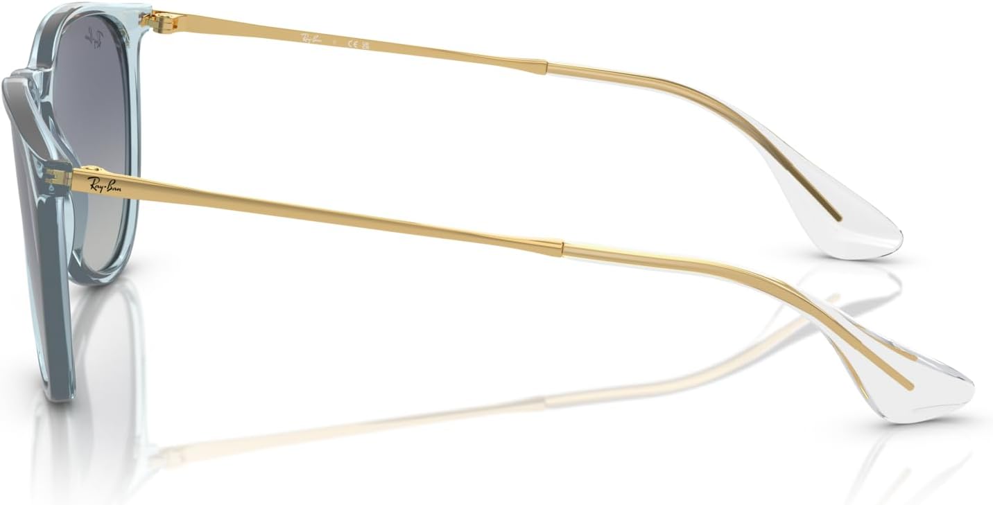 Rthtay-Bthtan RB4171 Erika Round Sunglasses