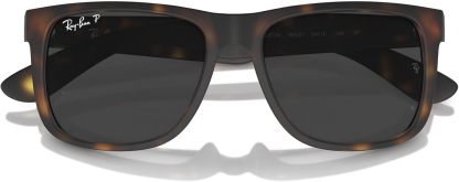 Rthtay-Bthtan RB4165 Justin Rectangular Sunglasses