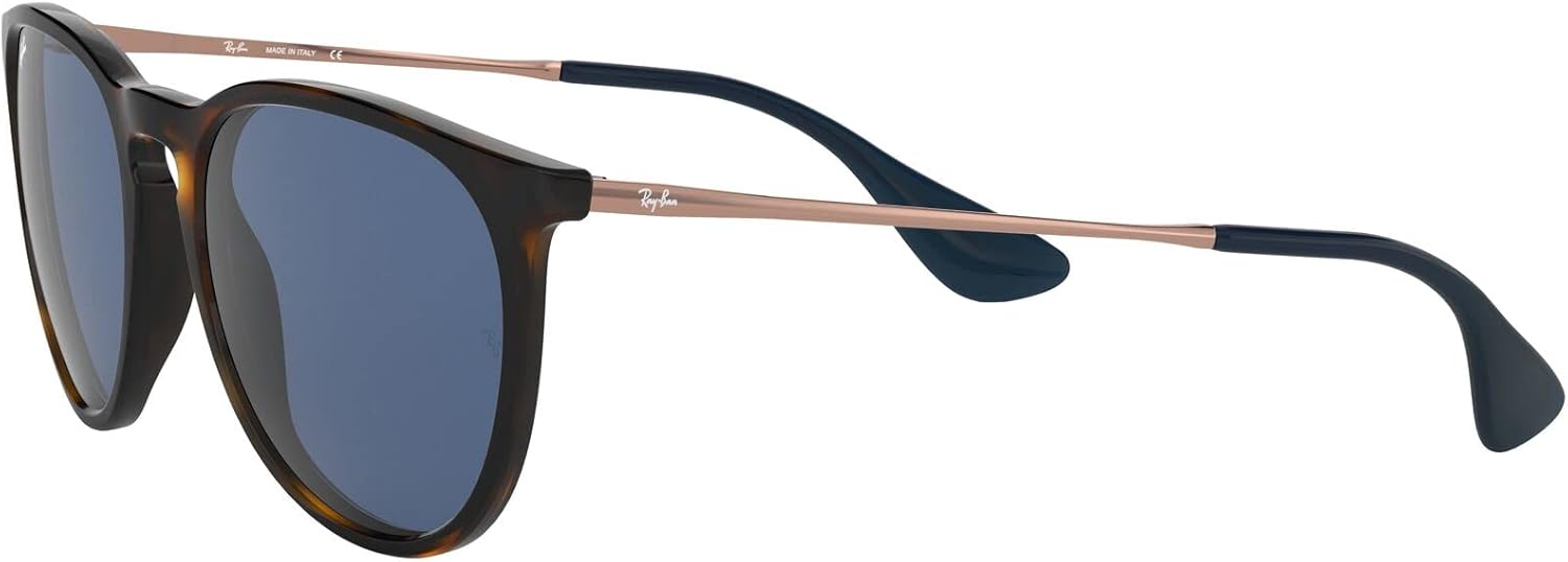 Rthtay-Bthtan RB4171 Erika Round Sunglasses