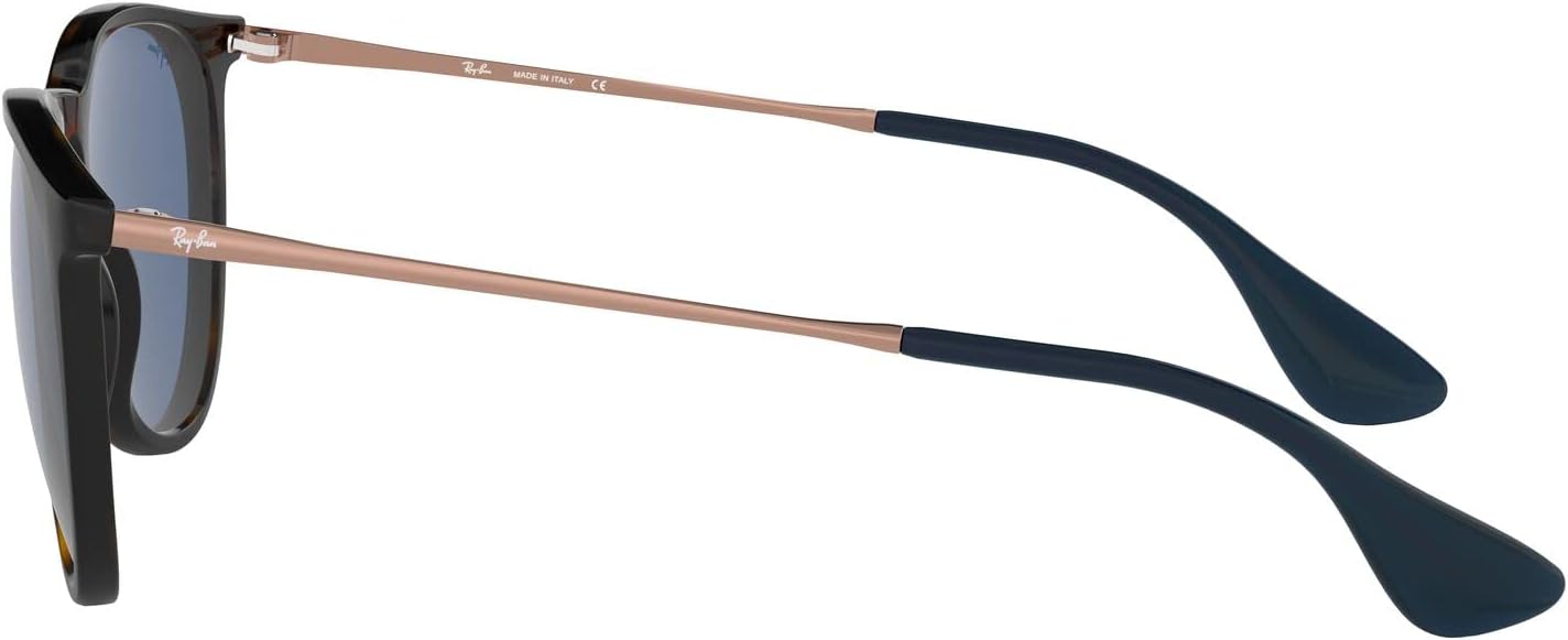 Rthtay-Bthtan RB4171 Erika Round Sunglasses