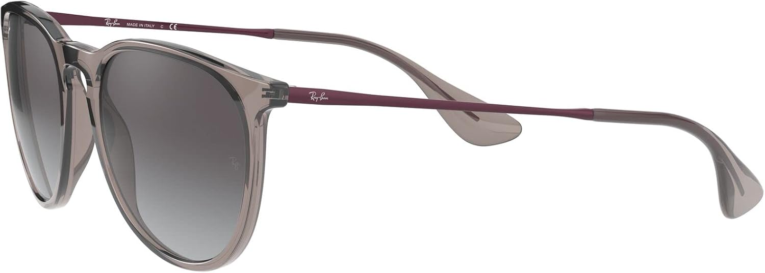 Rthtay-Bthtan RB4171 Erika Round Sunglasses