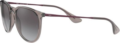 Rthtay-Bthtan RB4171 Erika Round Sunglasses