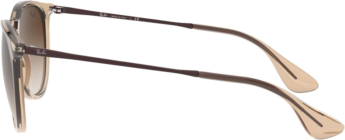 Rthtay-Bthtan RB4171 Erika Round Sunglasses