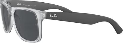 Rthtay-Bthtan RB4165 Justin Rectangular Sunglasses